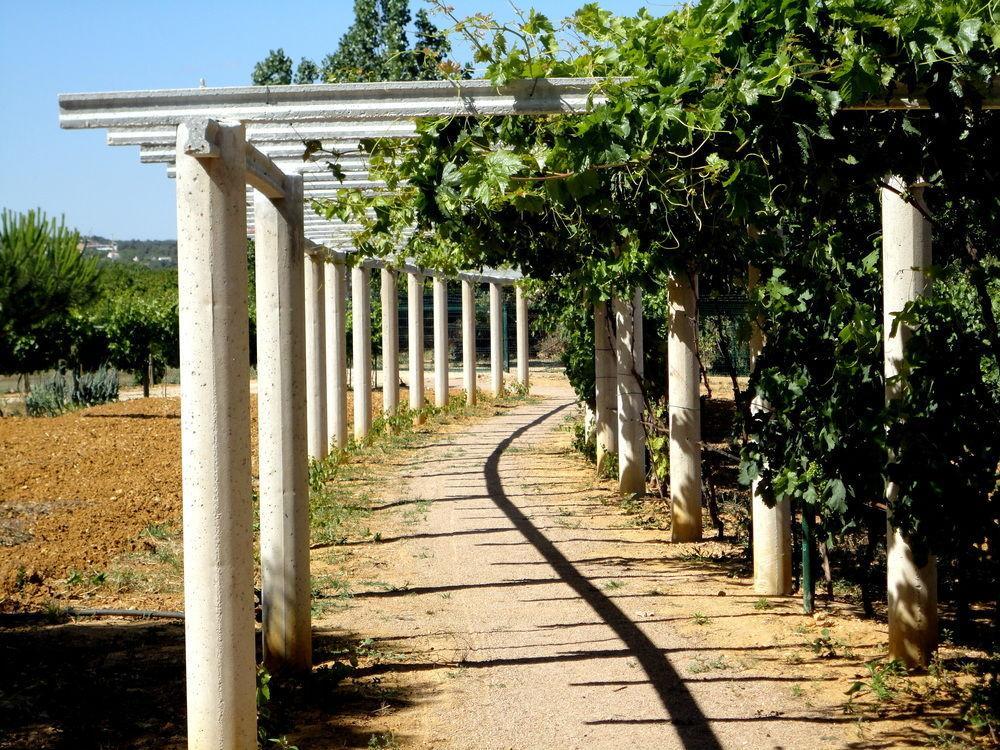 Solar Da Campina 3* Tavira