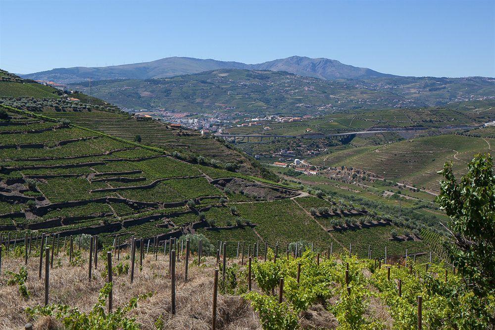 Quinta De Casaldronho Wine 4* Lamego