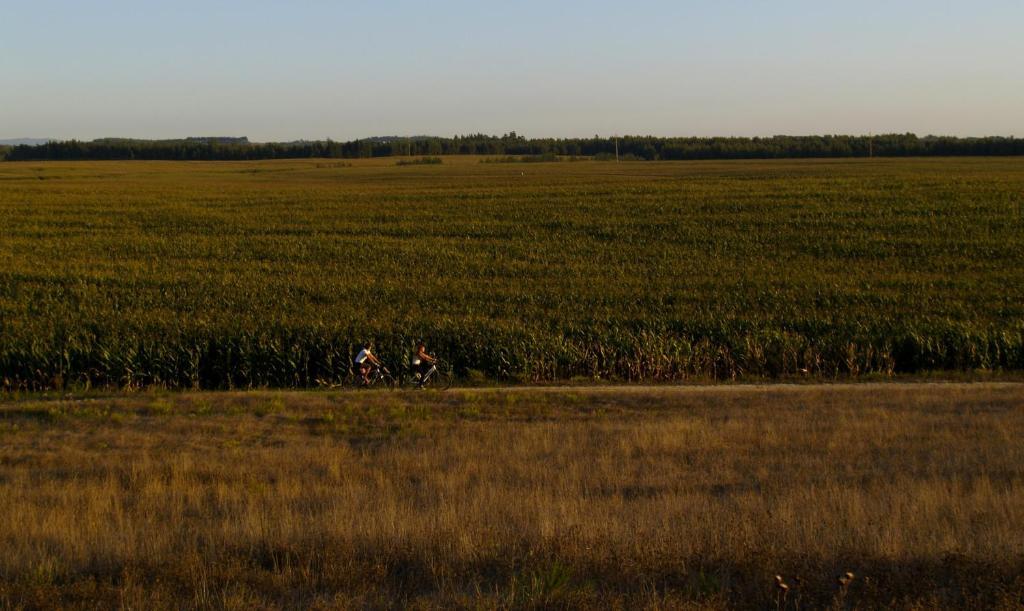 Herdade Do Sardanito Da Frente *