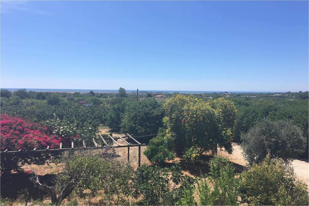 Quinta Rosa Branca Guest house Tavira