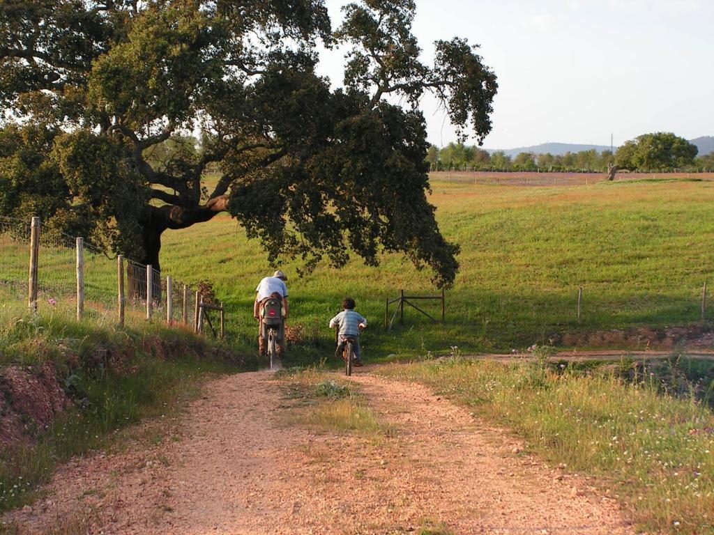 Farm stay Herdade Do Amarelo Nature & *