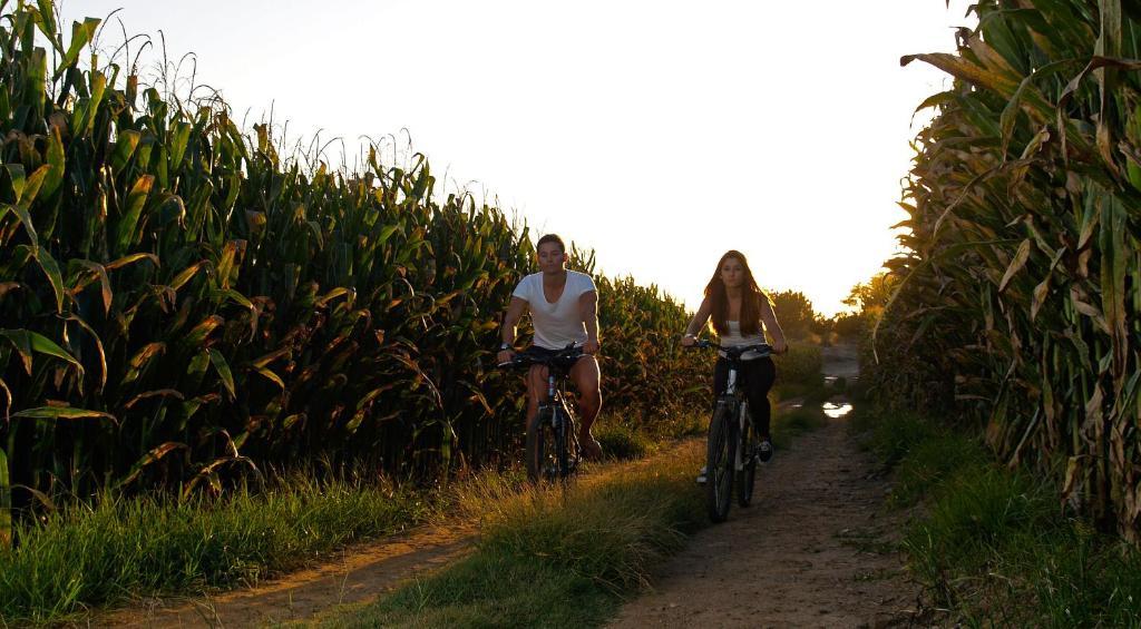Herdade Do Sardanito Da Frente *