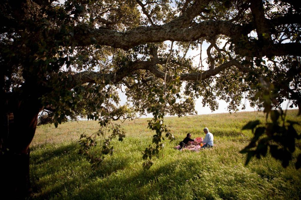 Herdade Do Amarelo Nature & Farm stay