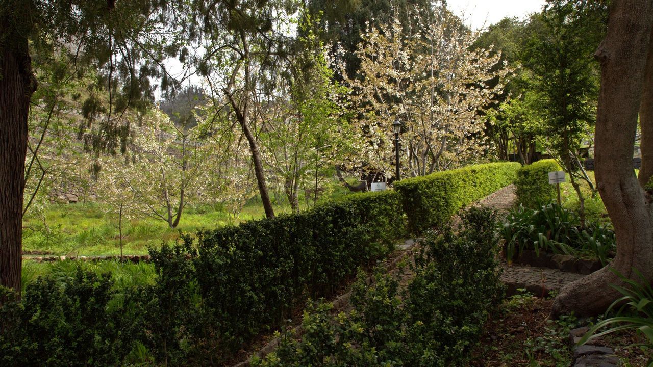 Bio - Quinta Da Serra Câmara de Lobos