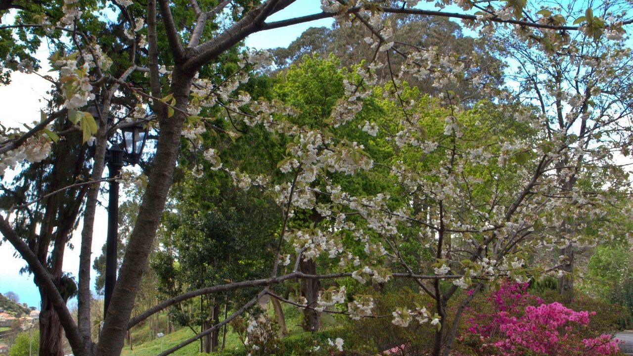 Hotel Bio - Quinta Da Serra