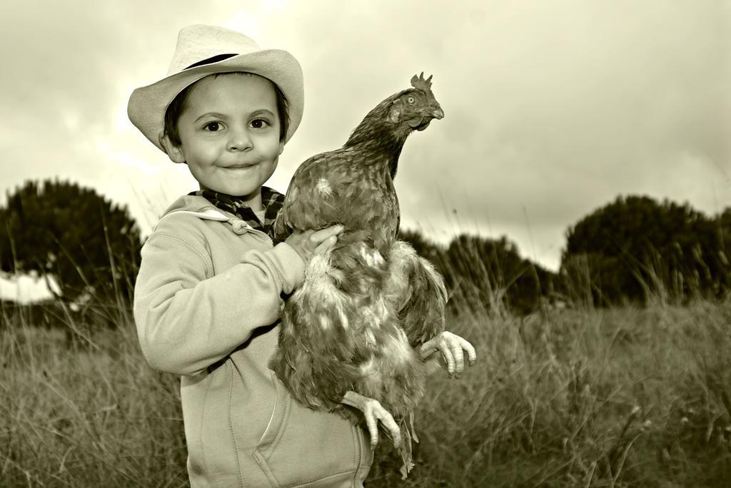 Farm stay De Crianca *