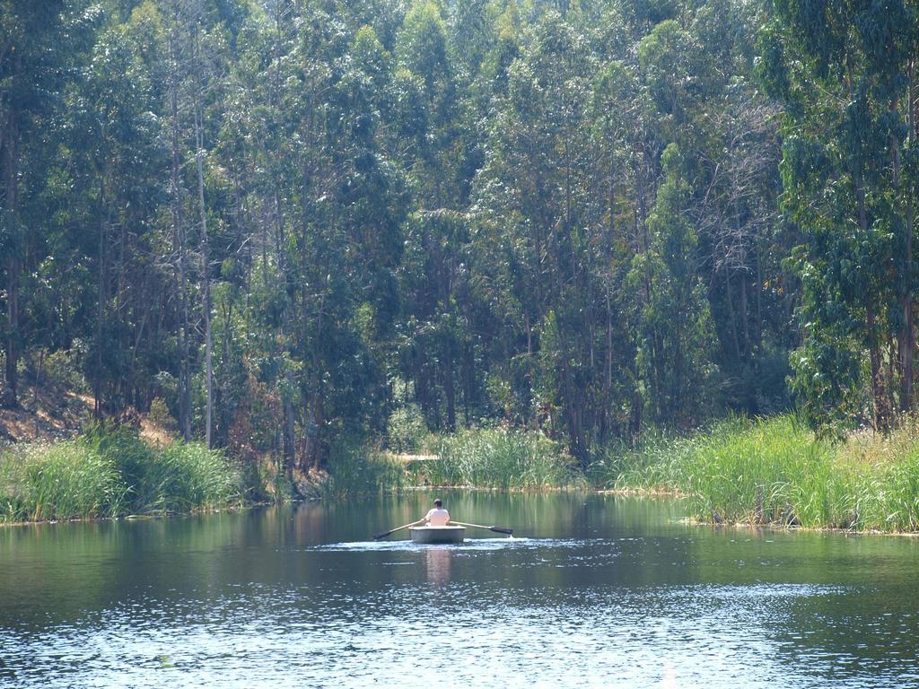 Vakantieboerderij Herdade Dos Montes Bastos