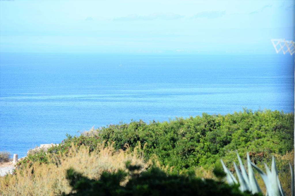 Apartment Algarpraia