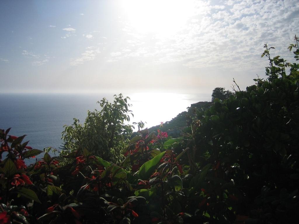 Do Sol Arco da Calheta (Madeira)