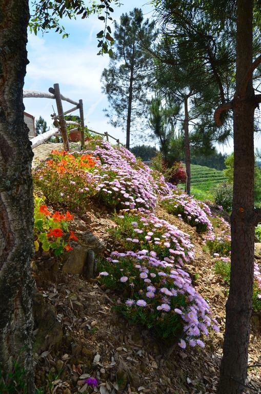 Holiday home De Paco Sever do Vouga