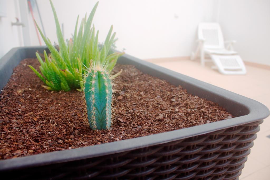 Apartamento Saudade *