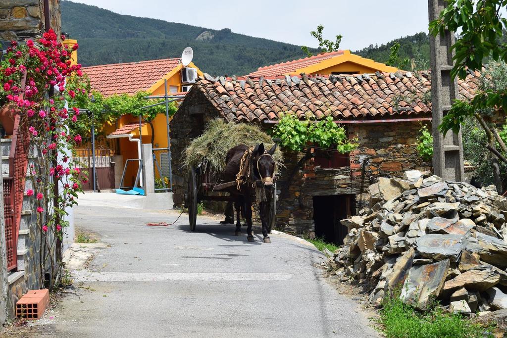 Casas Da Encosta