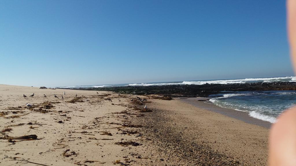Blue Ocean Povoa de Varzim