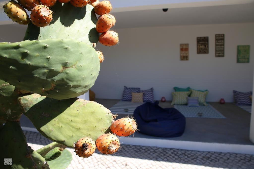 Louro Guest house Santa Cruz (Oeste)