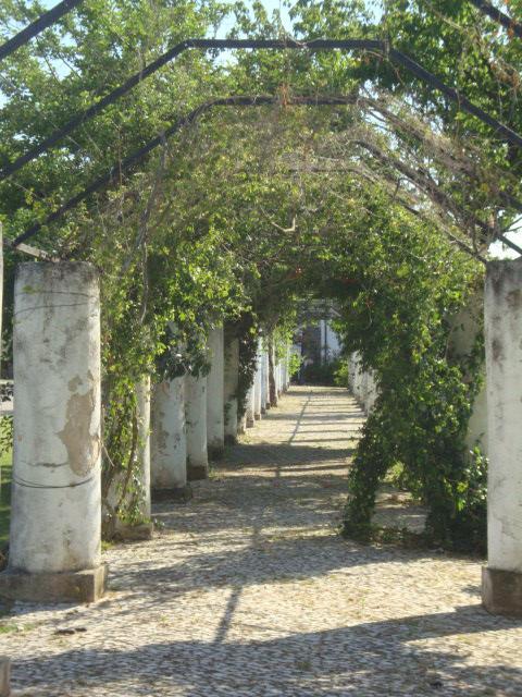 Apartamento Artur *
