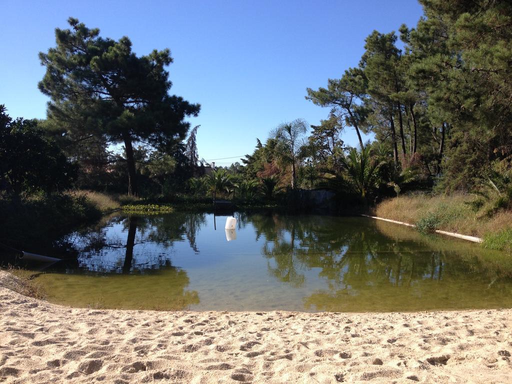 Vakantiehuis Quinta Serena Palmela