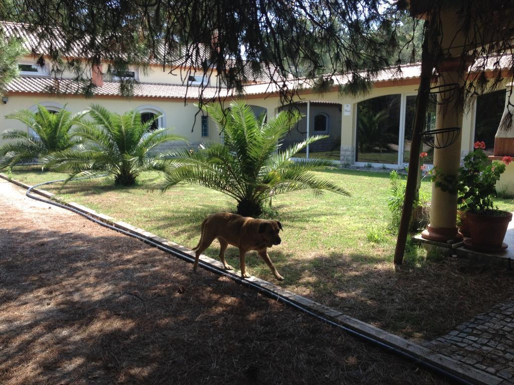 Holiday home Quinta Serena