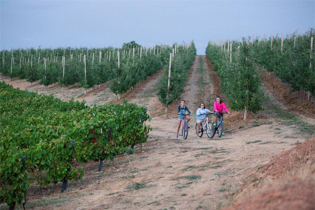 Quinta Da Barroca Douro Valley *