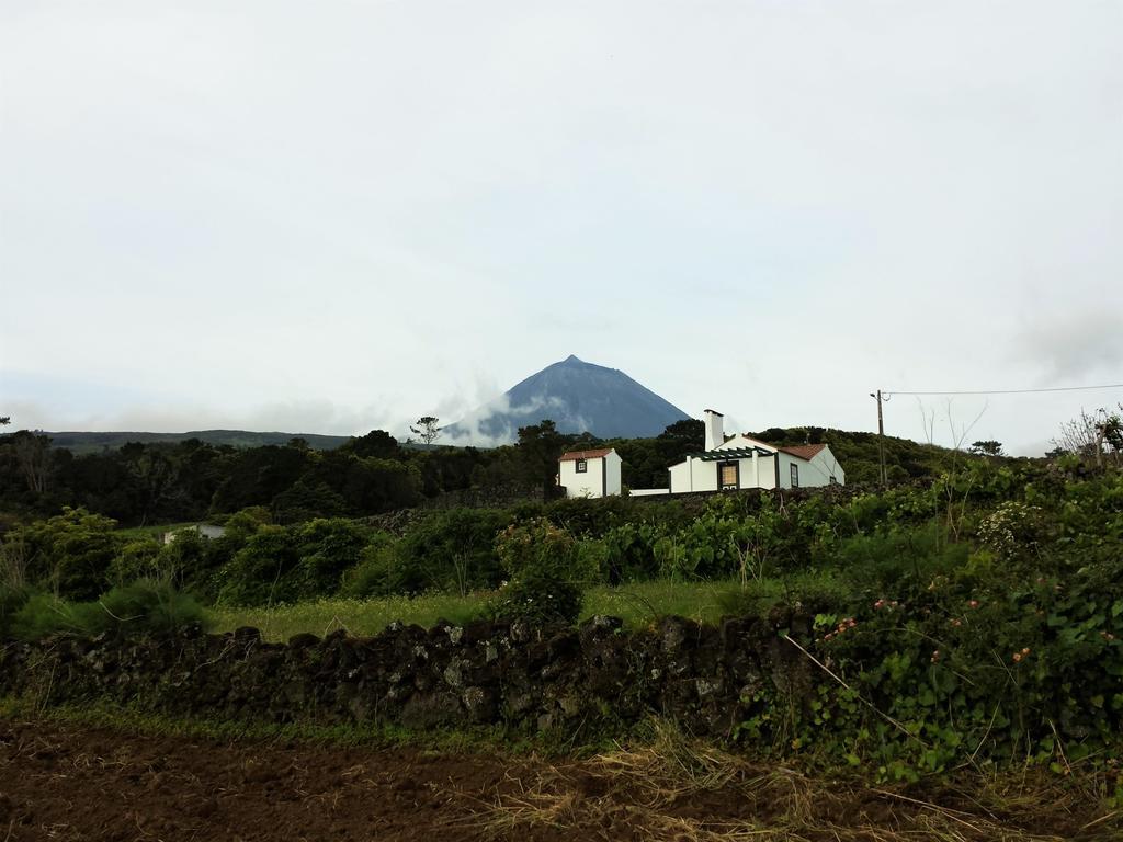 Casa Do Paim Holiday home Sao Roque do Pico
