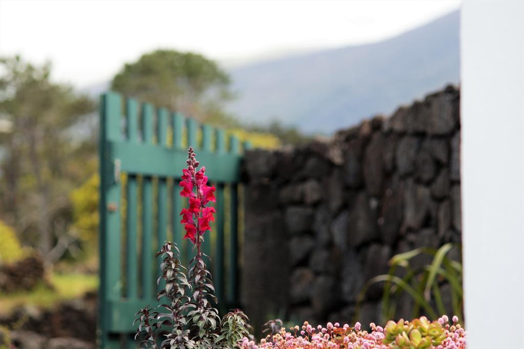 Casa Do Paim * Sao Roque do Pico