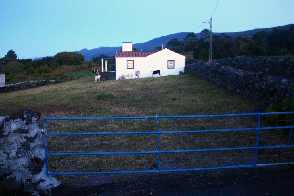 Casa Do Paim *