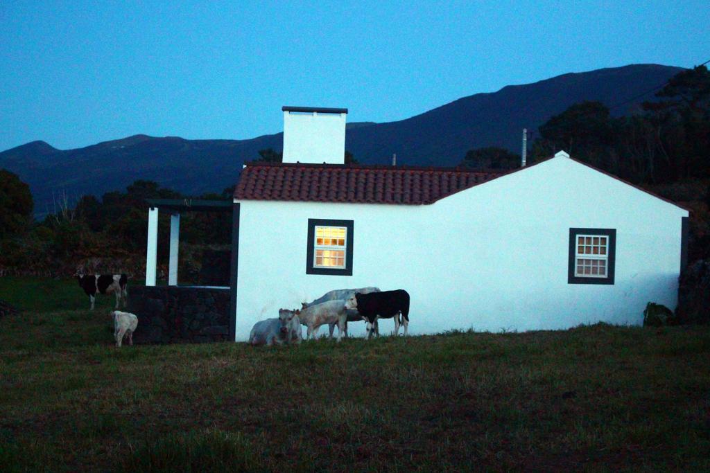 Holiday home Casa Do Paim