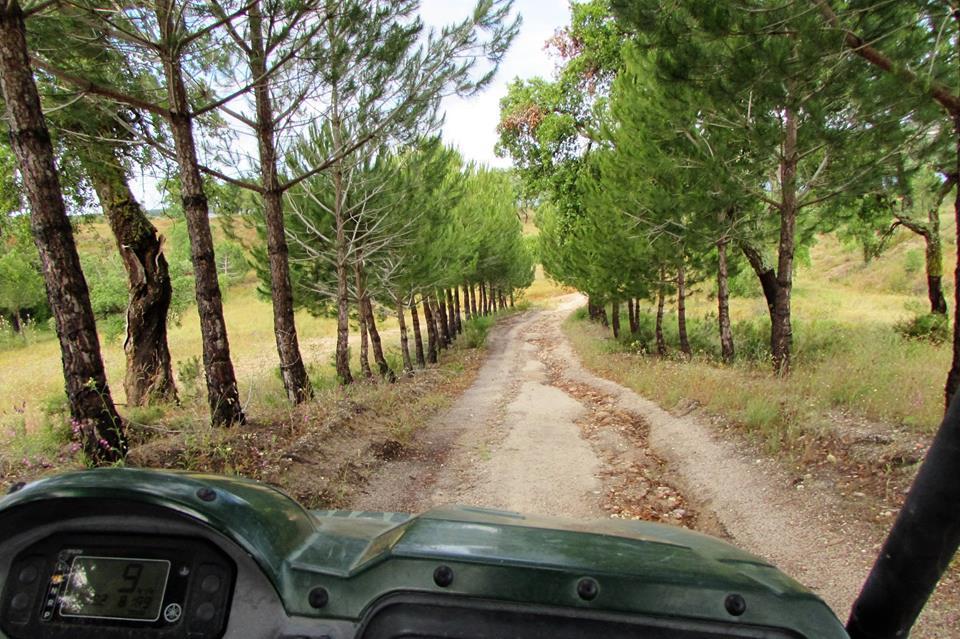 Monte Da Tojeirinha Montargil