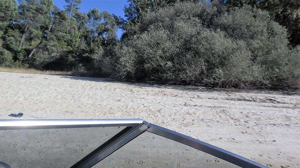 Monte Da Tojeirinha * Montargil