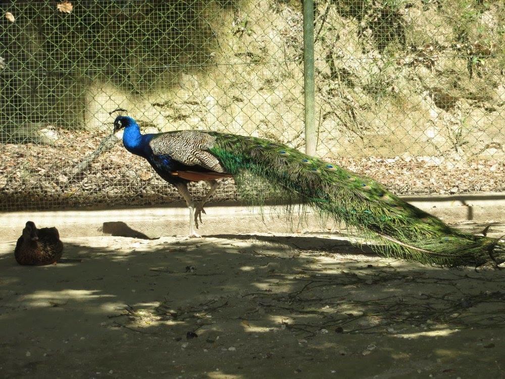 Encosta Dos Tuneis - Turismo E Lazer Gasthuis *