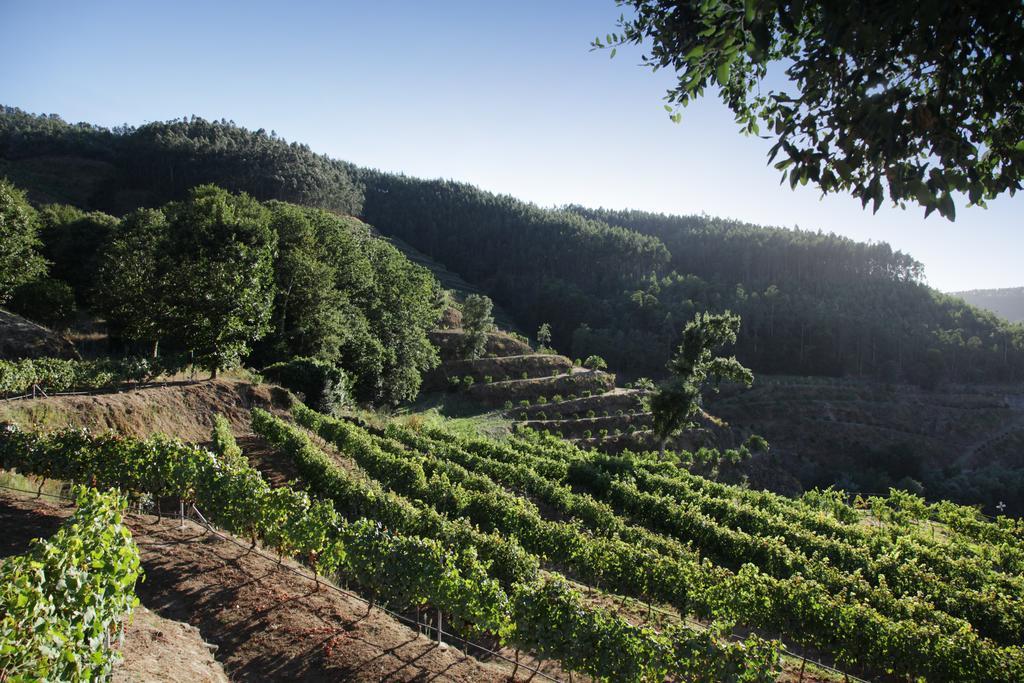 Encosta Dos Tuneis - Turismo E Lazer * Sever do Vouga