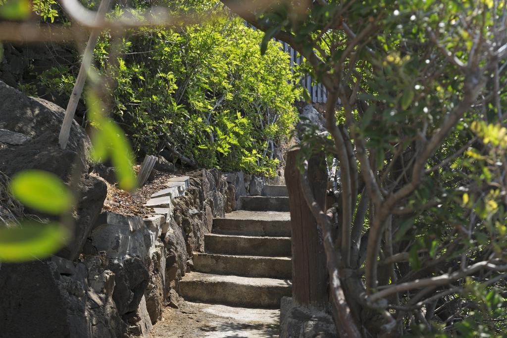 Villa Vila Cais Da Gaivota Canical (Madeira)