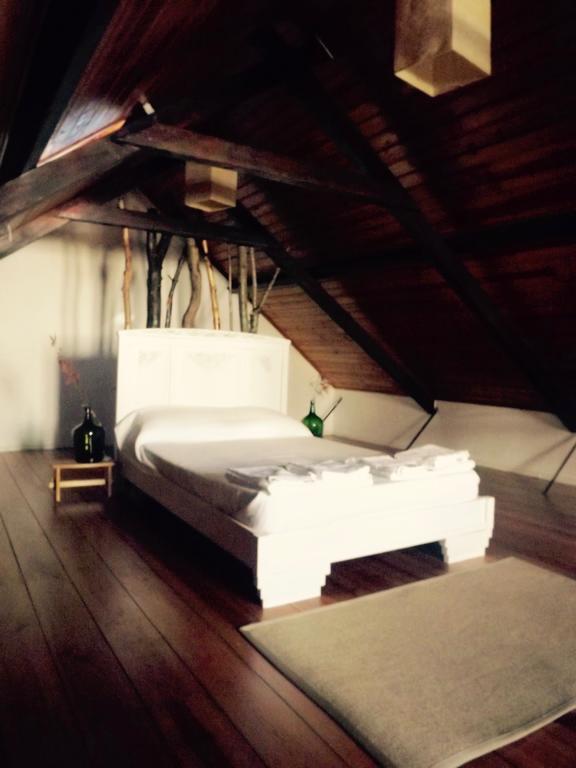 Aiola Duplex Eco-friendly * Sesimbra