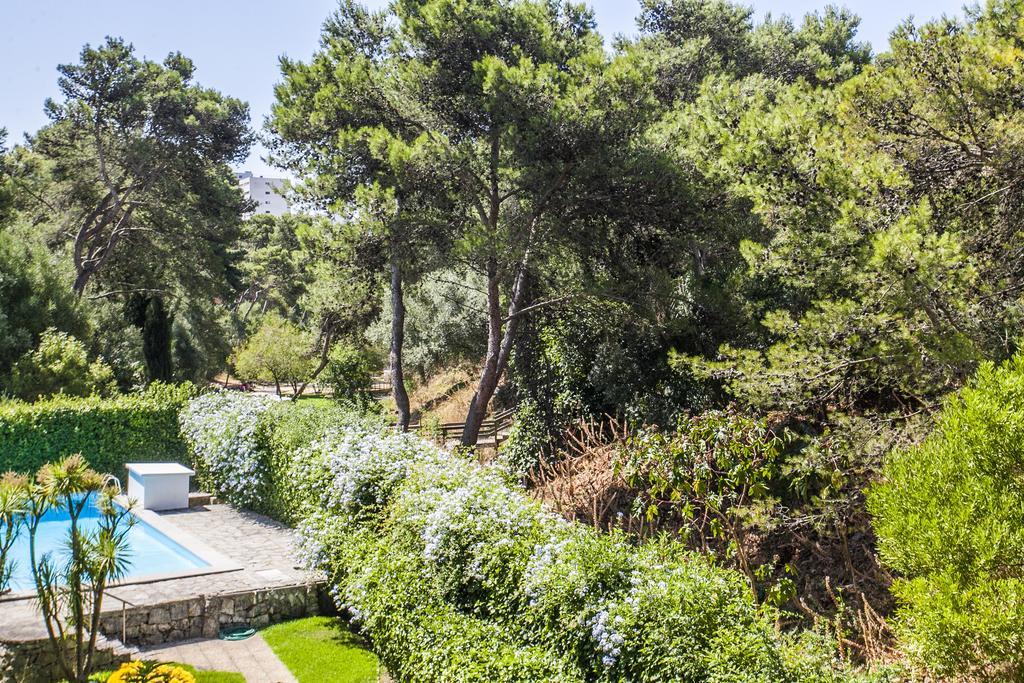 Apartment Ereira With Pool In *