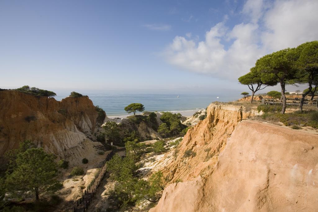 Pine Cliffs Village