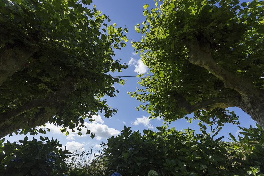 Casas Do Monte Farm stay Santo Antonio (Sao Miguel)