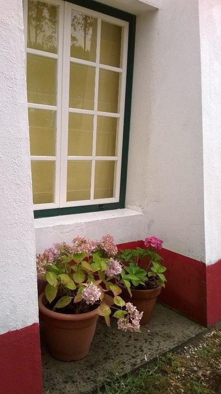 Monte Da Tojeirinha Country house *