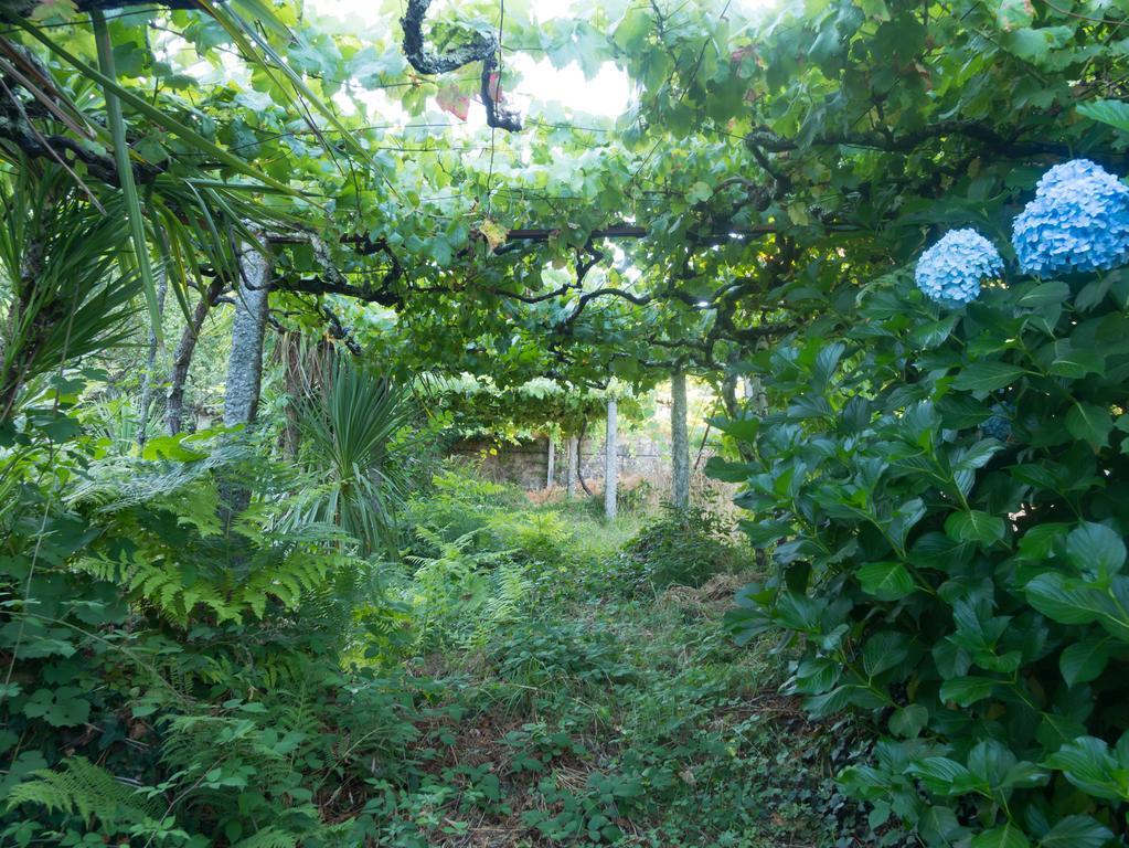 Casa de férias Quinta Leiras Santo Tirso