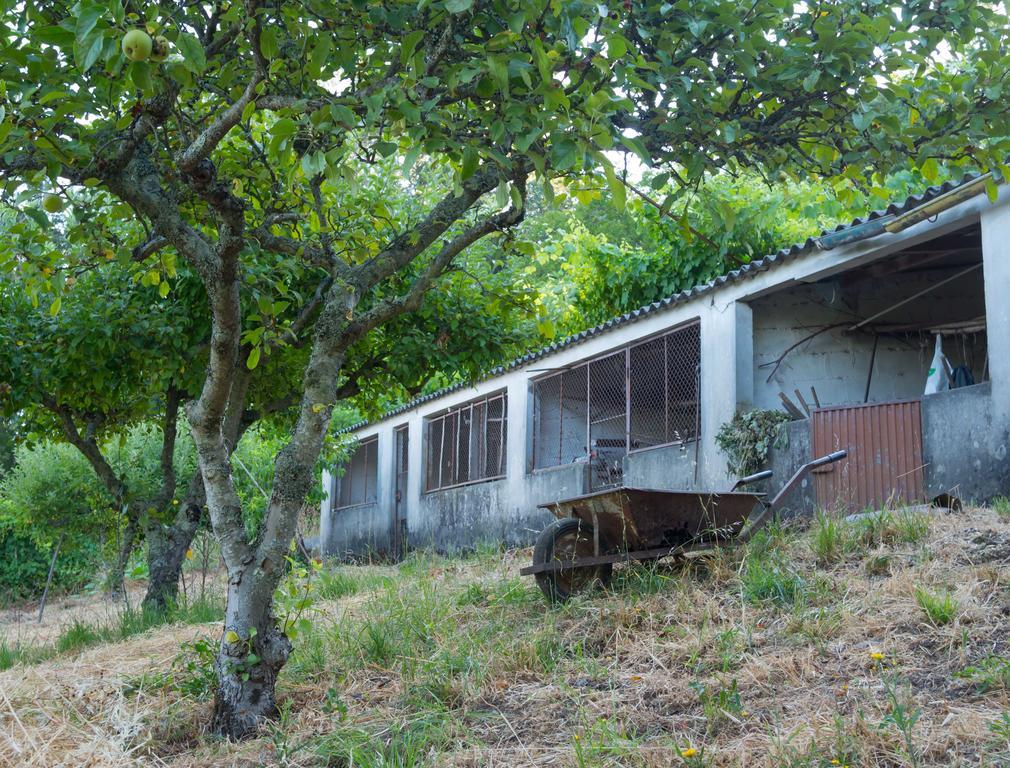 Casa de férias Quinta Leiras