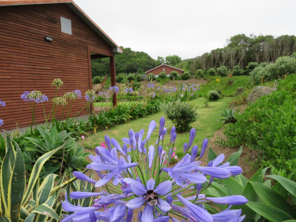 Sitio Da Assumada Holiday home Lajes das Flores