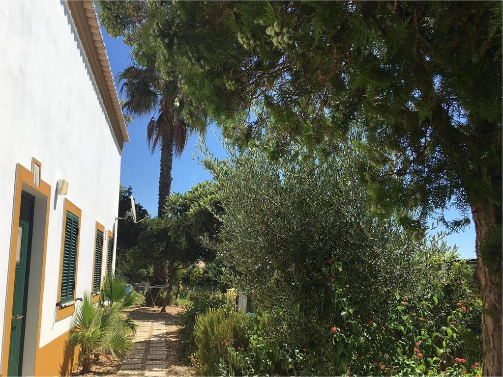 Guest house Quinta Rosa Branca Tavira