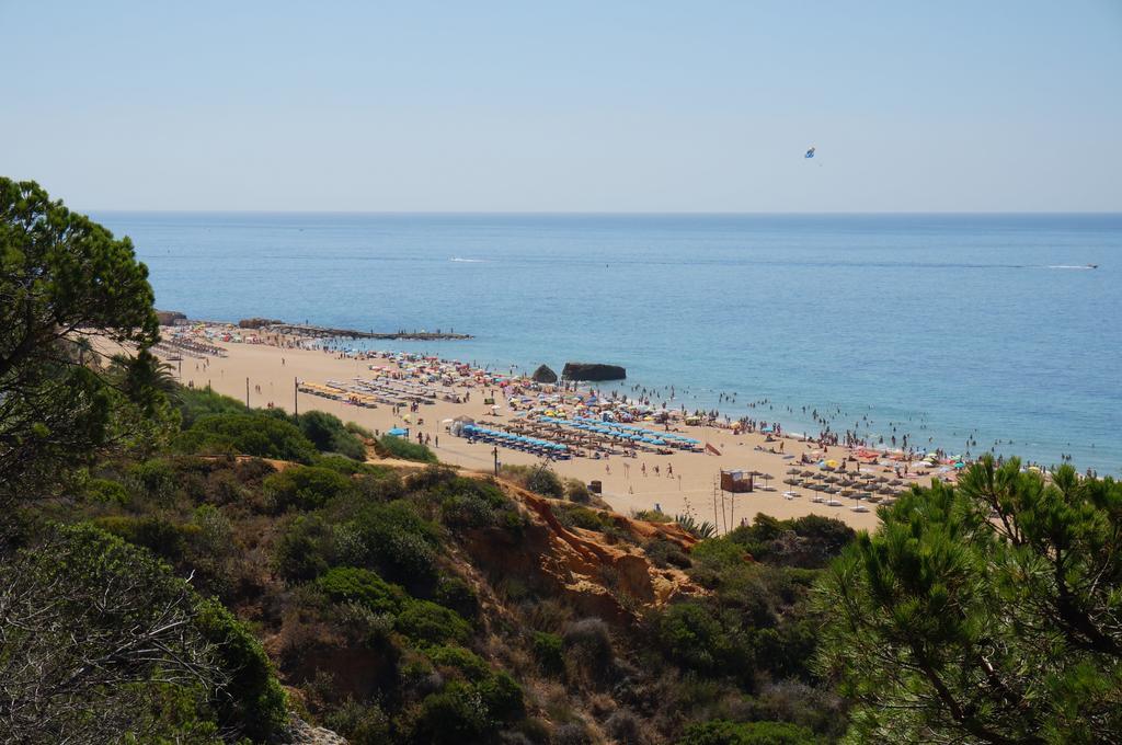 Golden Cliff House Apartamento