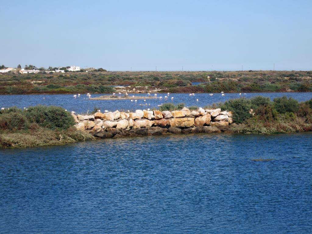 Moinhos Das Mares