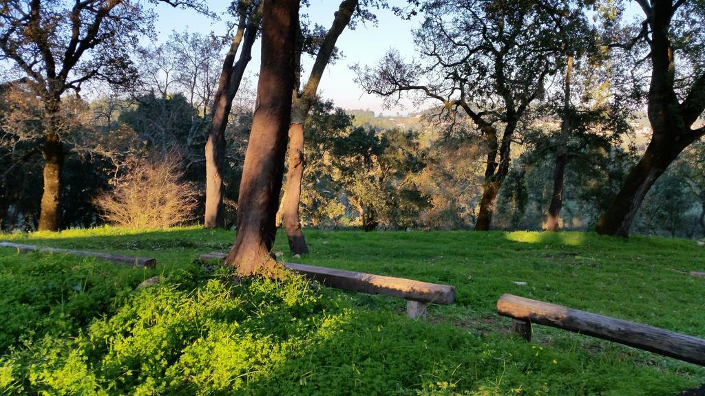 Quinta Da Casa Velha Agroturismo Ourem