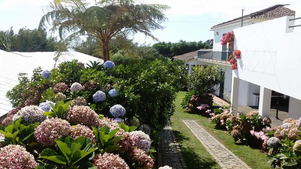 Quinta Bolas