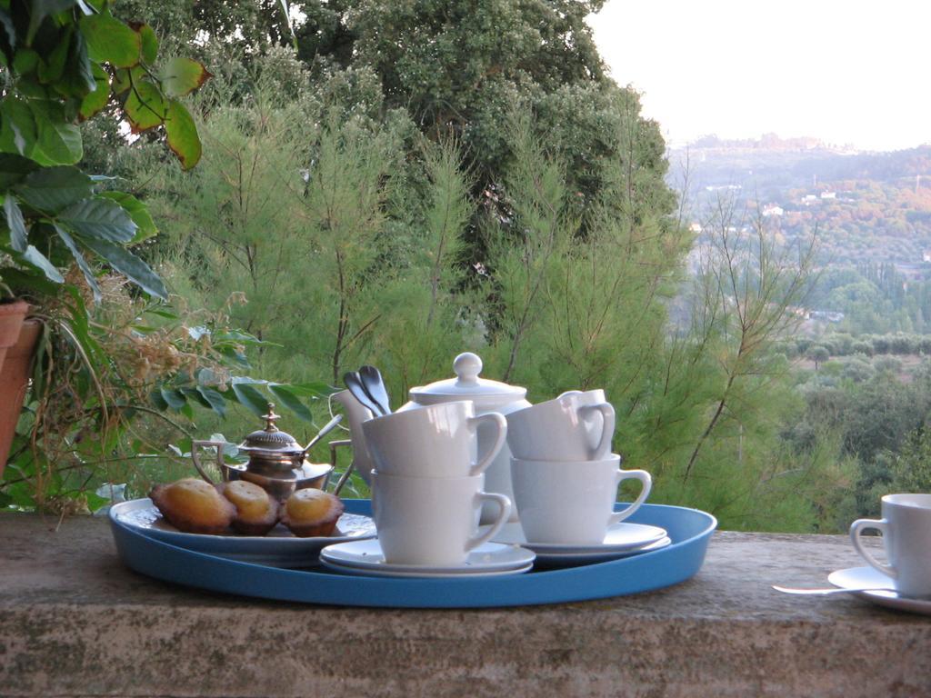 Farm stay Quinta Da Casa Velha Agroturismo Ourem