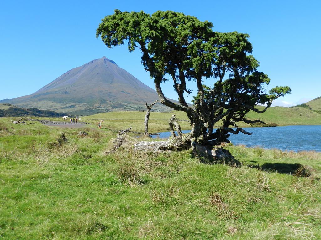 Holiday home Adega Pedra Do Lagar Calheta de Nesquim