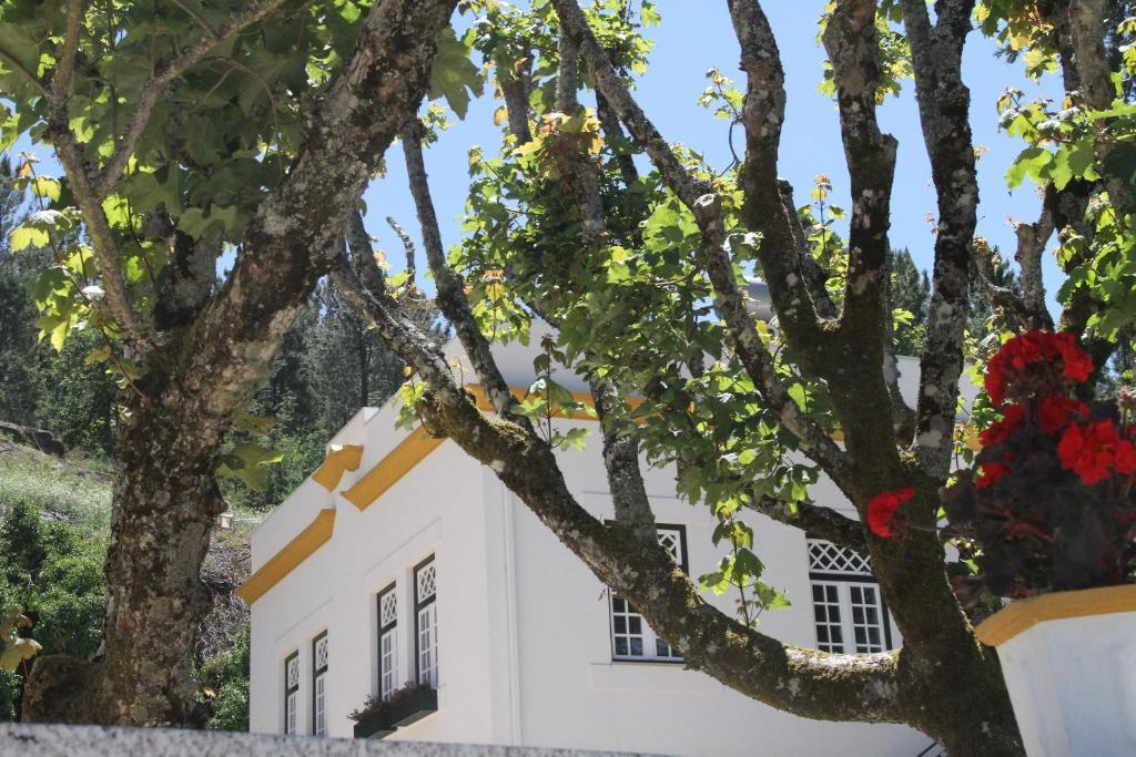 Inn Douro Valley 3*