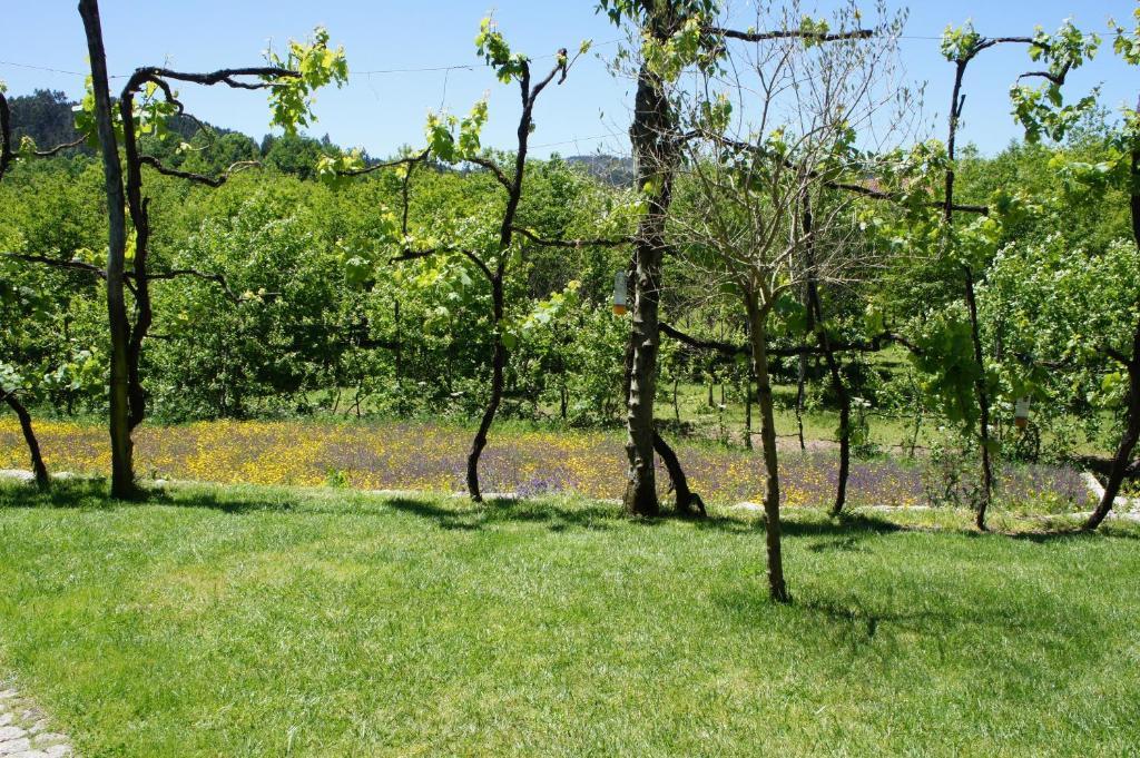 Farm stay Quinta Travessa Vieira do Minho