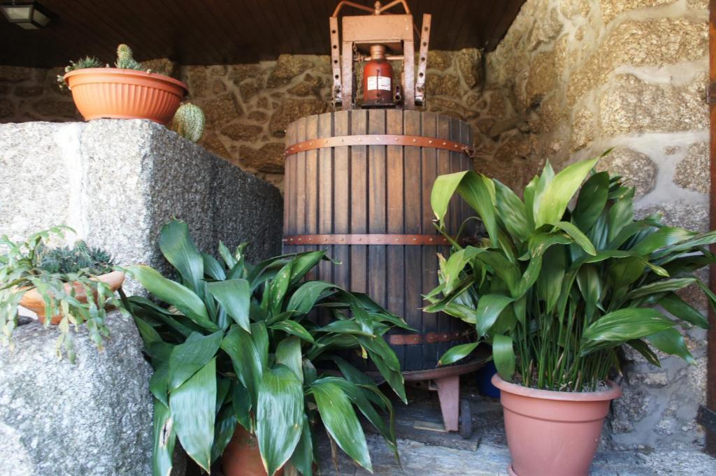 Farm stay Quinta Travessa