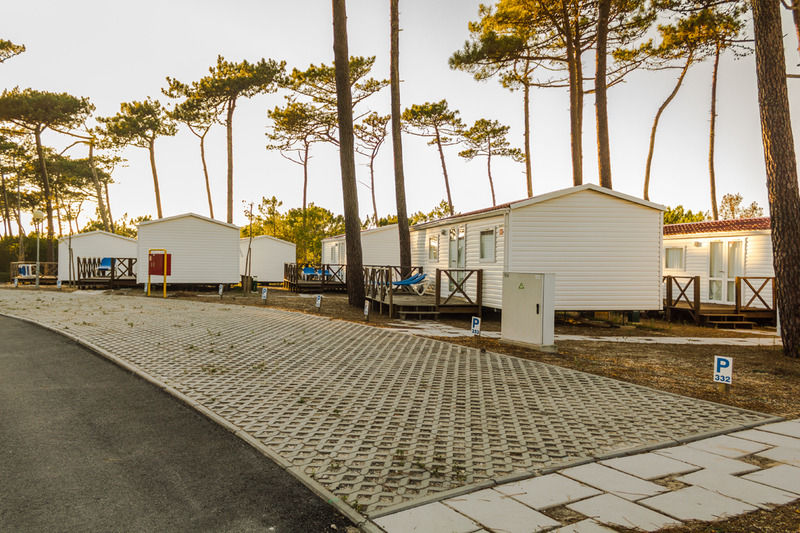 Campsite Parque De Campismo Orbitur Sao Pedro De Moel
